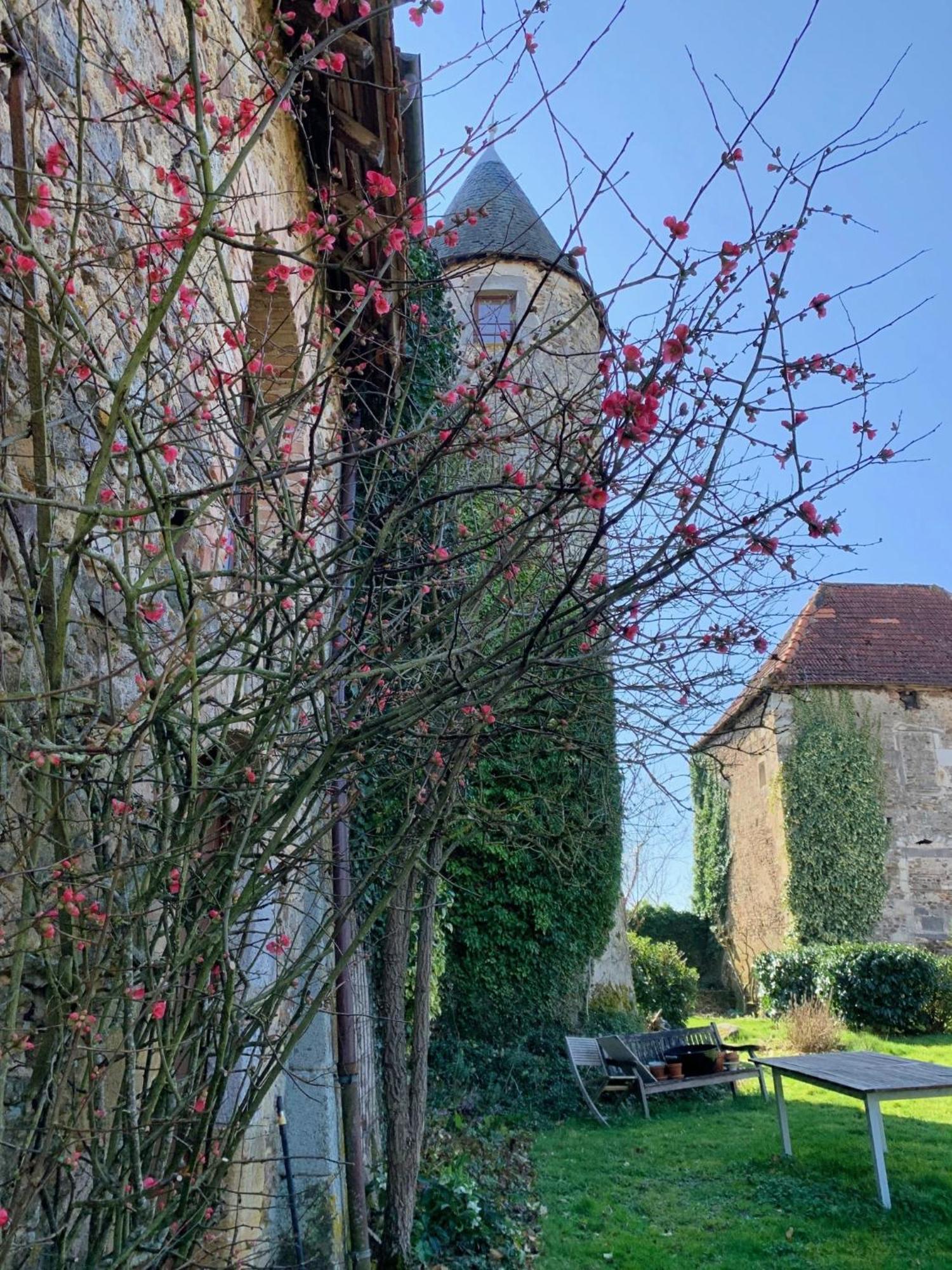 Brigueuil-le-Chantre Chateau Mareuil מראה חיצוני תמונה